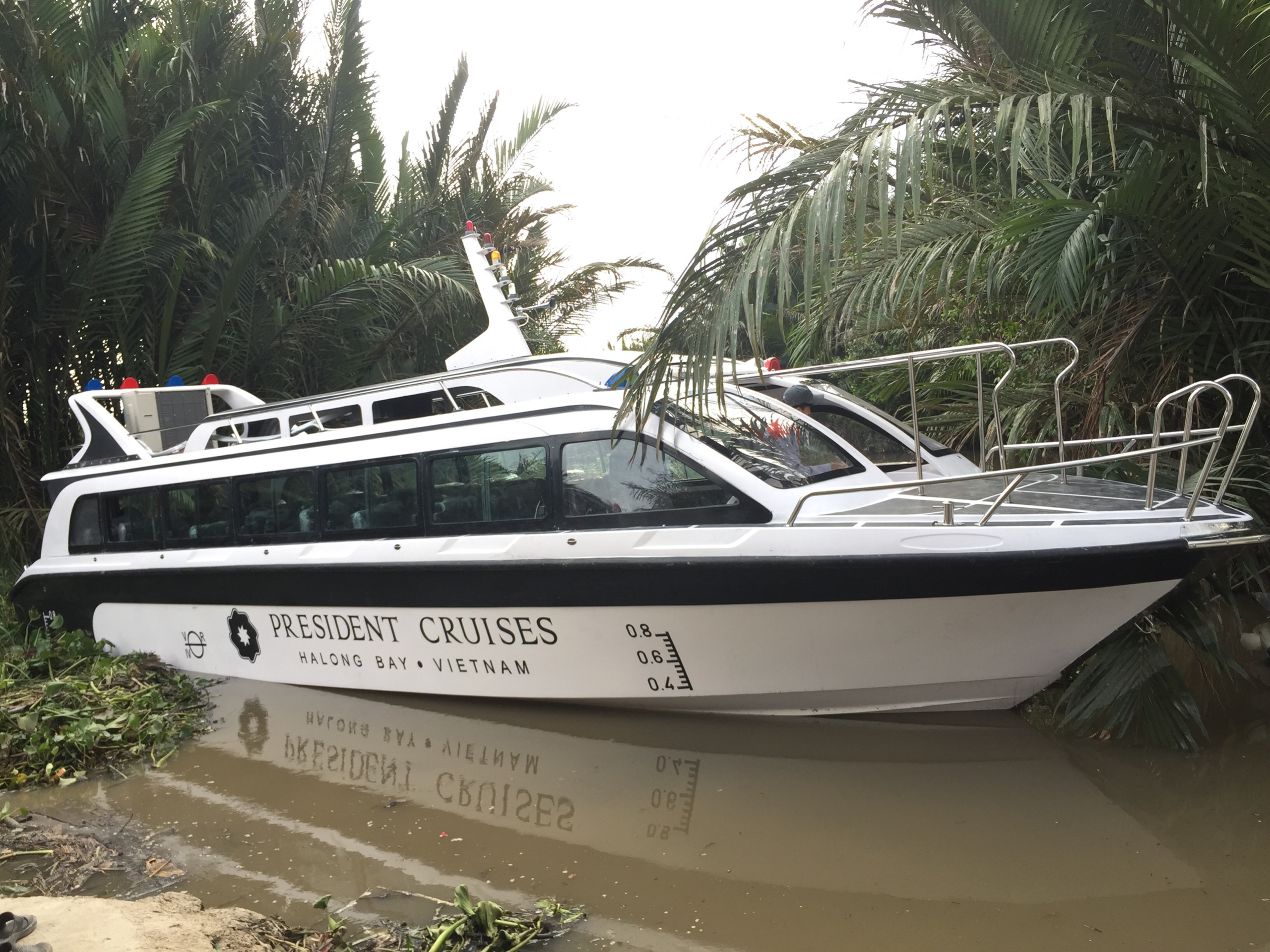 Hình Dưới Nước 4.jpg