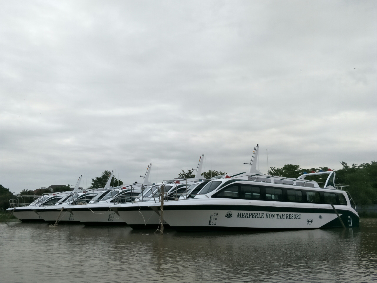 Z1050288008060 68269fa070a53905a06924ff78fd8974